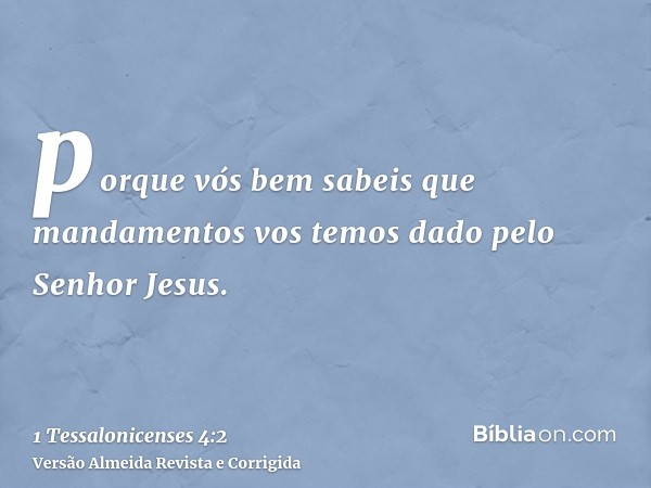 porque vós bem sabeis que mandamentos vos temos dado pelo Senhor Jesus.