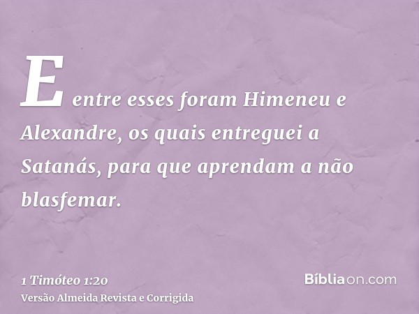 E entre esses foram Himeneu e Alexandre, os quais entreguei a Satanás, para que aprendam a não blasfemar.
