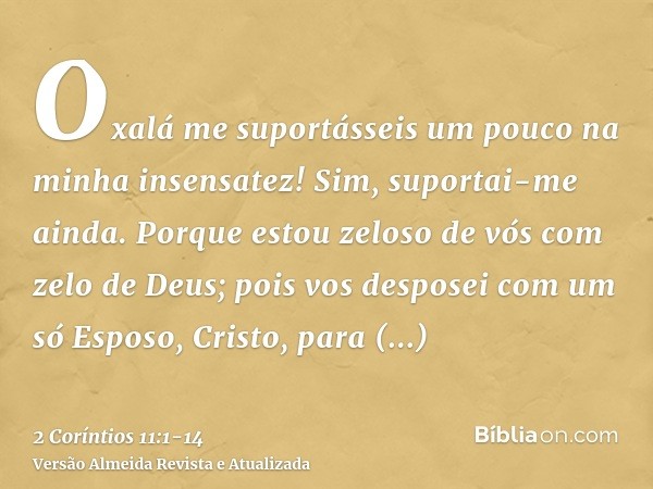 Oxalá me suportásseis um pouco na minha insensatez! Sim, suportai-me ainda.Porque estou zeloso de vós com zelo de Deus; pois vos desposei com um só Esposo, Cris