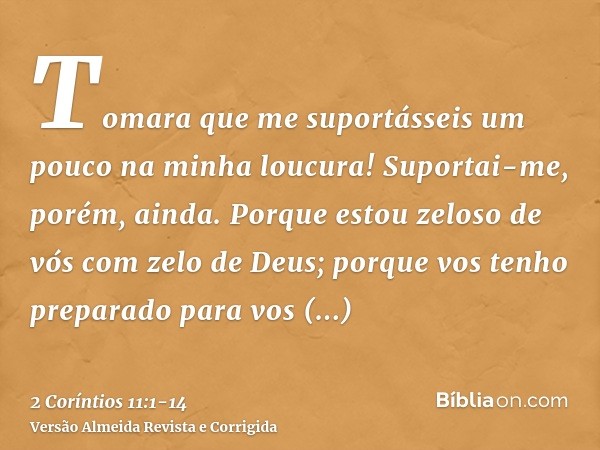 Tomara que me suportásseis um pouco na minha loucura! Suportai-me, porém, ainda.Porque estou zeloso de vós com zelo de Deus; porque vos tenho preparado para vos