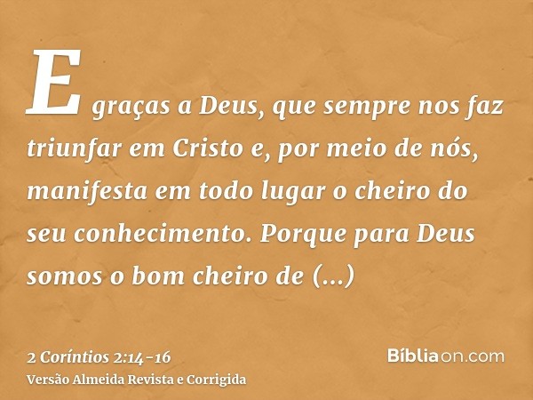 E graças a Deus, que sempre nos faz triunfar em Cristo e, por meio de nós, manifesta em todo lugar o cheiro do seu conhecimento.Porque para Deus somos o bom che