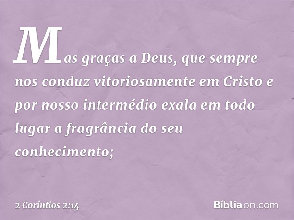 Mas graças a Deus, que sempre nos conduz vitoriosamente em Cristo e por nosso intermédio exala em todo lugar a fragrância do seu conhecimento; -- 2 Coríntios 2: