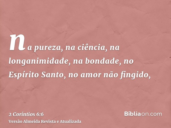 na pureza, na ciência, na longanimidade, na bondade, no Espírito Santo, no amor não fingido,
