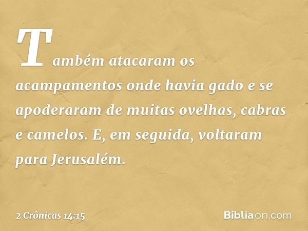 Tam­bém atacaram os acampamentos onde havia gado e se apoderaram de muitas ovelhas, cabras e camelos. E, em seguida, voltaram para Jerusalém. -- 2 Crônicas 14:1