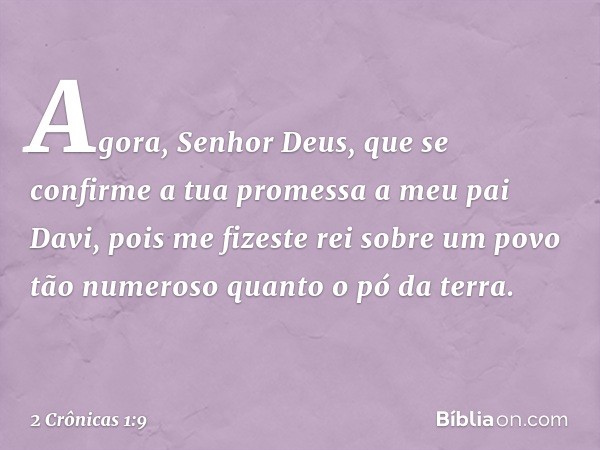 Agora, Senhor Deus, que se confirme a tua promessa a meu pai Davi, pois me fizeste rei sobre um povo tão numeroso quanto o pó da terra. -- 2 Crônicas 1:9