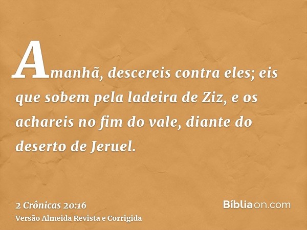 Amanhã, descereis contra eles; eis que sobem pela ladeira de Ziz, e os achareis no fim do vale, diante do deserto de Jeruel.