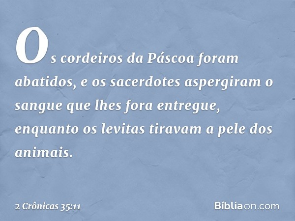 Os cordeiros da Páscoa foram abatidos, e os sacerdotes aspergiram o sangue que lhes fora entregue, enquanto os levitas tiravam a pele dos animais. -- 2 Crônicas