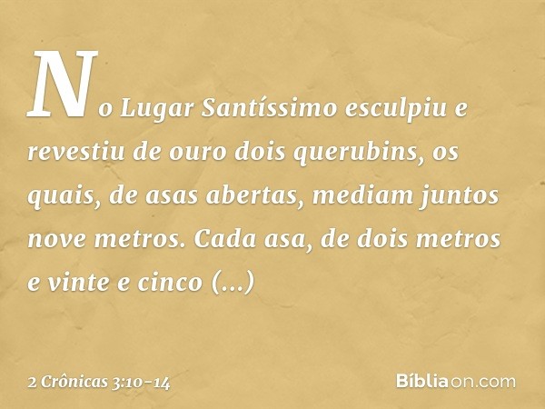 No Lugar Santíssimo esculpiu e revestiu de ouro dois querubins, os quais, de asas abertas, mediam juntos nove metros. Cada asa, de dois metros e vinte e cinco c