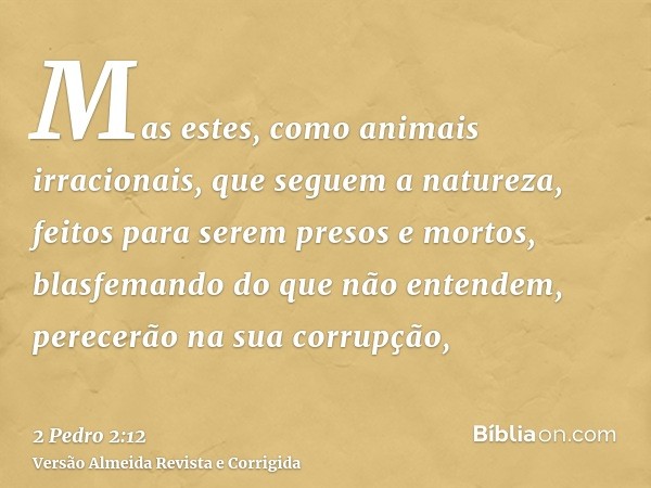 Mas estes, como animais irracionais, que seguem a natureza, feitos para serem presos e mortos, blasfemando do que não entendem, perecerão na sua corrupção,
