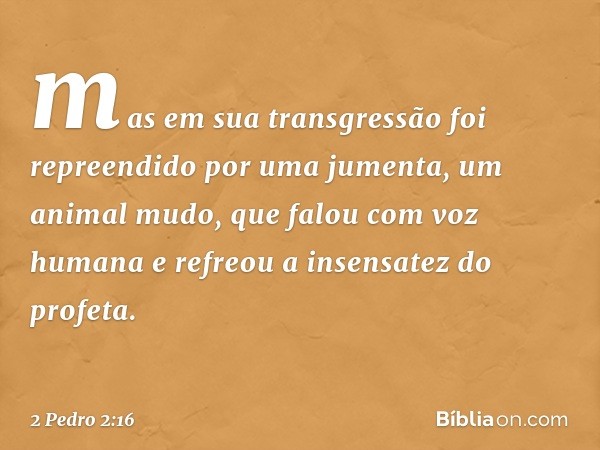 mas em sua transgressão foi repreendido por uma jumenta, um animal mudo, que falou com voz humana e refreou a insensatez do profeta. -- 2 Pedro 2:16