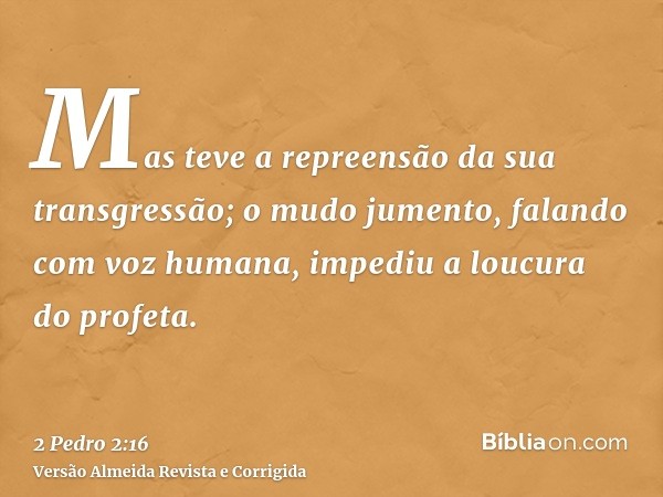 Mas teve a repreensão da sua transgressão; o mudo jumento, falando com voz humana, impediu a loucura do profeta.