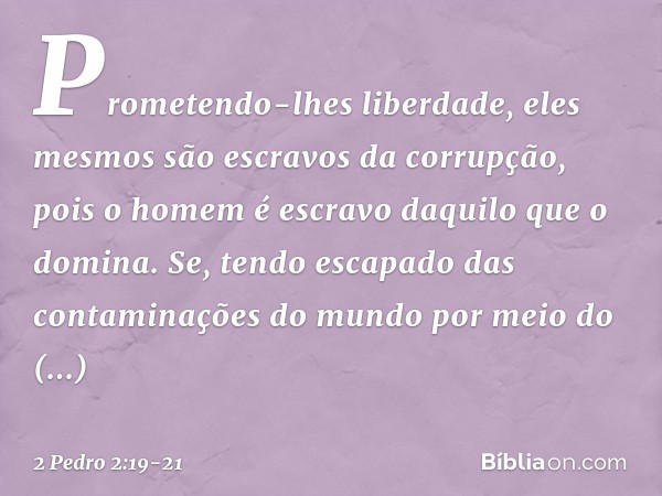 Prometendo-lhes liberdade, eles mesmos são escravos da corrupção, pois o homem é escravo daquilo que o domina. Se, tendo escapado das contaminações do mundo por