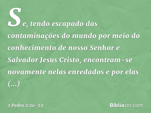 Se, tendo escapado das contaminações do mundo por meio do conhecimento de nosso Senhor e Salvador Jesus Cristo, encontram-se novamente nelas enredados e por ela