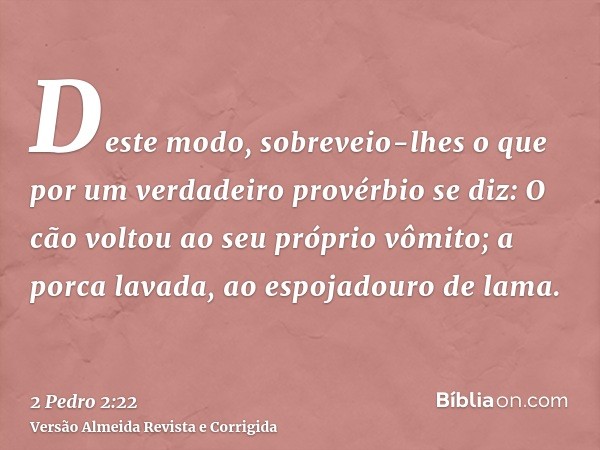 Deste modo, sobreveio-lhes o que por um verdadeiro provérbio se diz: O cão voltou ao seu próprio vômito; a porca lavada, ao espojadouro de lama.