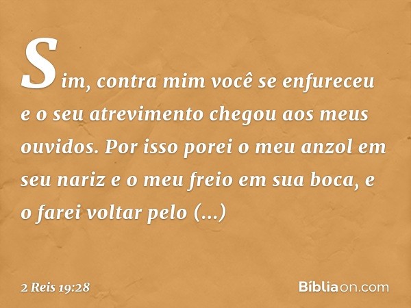 Sim, contra mim você se enfureceu
e o seu atrevimento
chegou aos meus ouvidos.
Por isso porei o meu anzol
em seu nariz
e o meu freio em sua boca,
e o farei volt