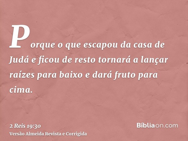 Porque o que escapou da casa de Judá e ficou de resto tornará a lançar raízes para baixo e dará fruto para cima.