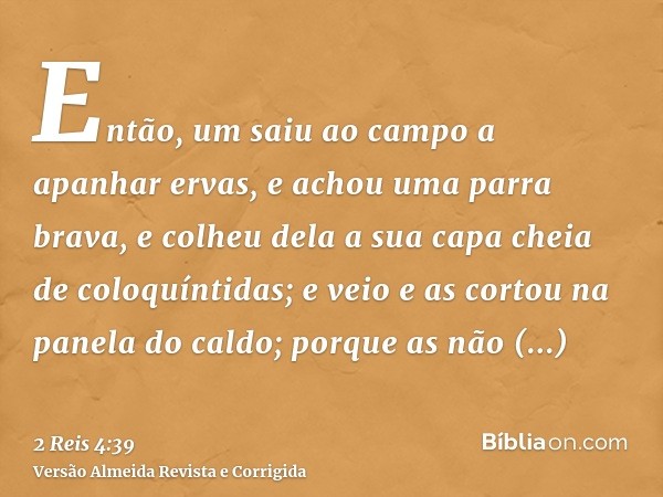 Então, um saiu ao campo a apanhar ervas, e achou uma parra brava, e colheu dela a sua capa cheia de coloquíntidas; e veio e as cortou na panela do caldo; porque
