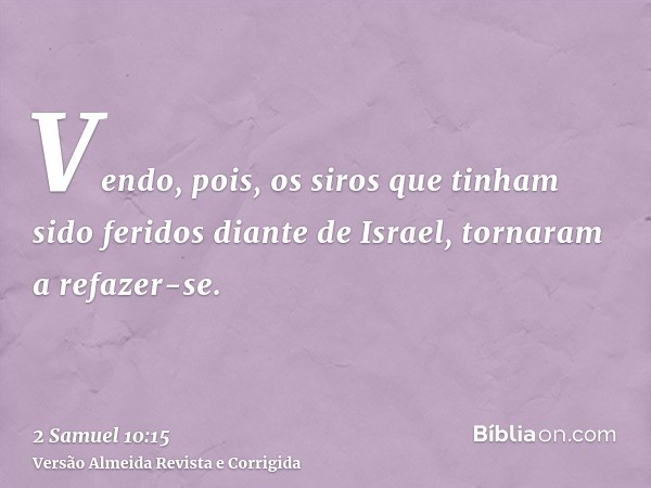 Vendo, pois, os siros que tinham sido feridos diante de Israel, tornaram a refazer-se.