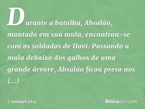 Durante a batalha, Absalão, montado em sua mula, encontrou-se com os soldados de Davi. Passando a mula debaixo dos galhos de uma grande árvore, Absalão ficou pr