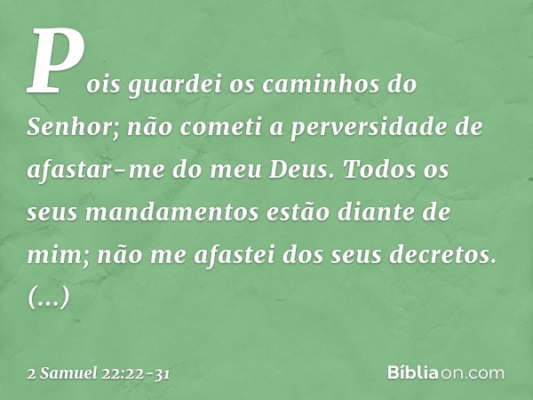 Pois guardei os caminhos do Senhor;
não cometi a perversidade
de afastar-me do meu Deus. Todos os seus mandamentos
estão diante de mim;
não me afastei dos seus