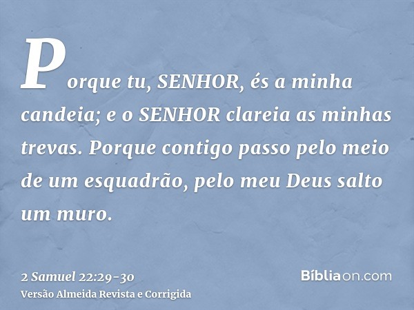 Porque tu, SENHOR, és a minha candeia; e o SENHOR clareia as minhas trevas.Porque contigo passo pelo meio de um esquadrão, pelo meu Deus salto um muro.