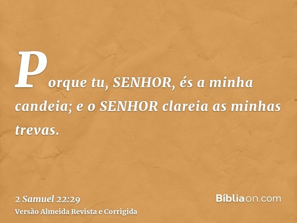 Porque tu, SENHOR, és a minha candeia; e o SENHOR clareia as minhas trevas.