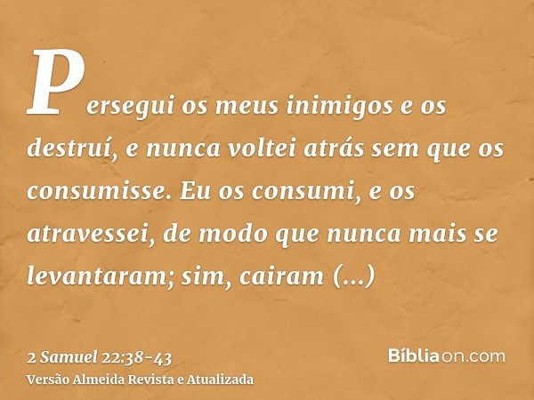 Persegui os meus inimigos e os destruí, e nunca voltei atrás sem que os consumisse.Eu os consumi, e os atravessei, de modo que nunca mais se levantaram; sim, ca