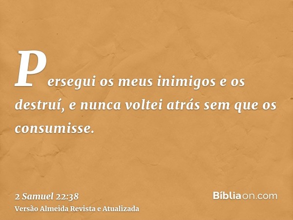 Persegui os meus inimigos e os destruí, e nunca voltei atrás sem que os consumisse.