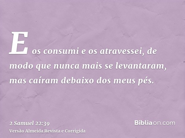 E os consumi e os atravessei, de modo que nunca mais se levantaram, mas caíram debaixo dos meus pés.