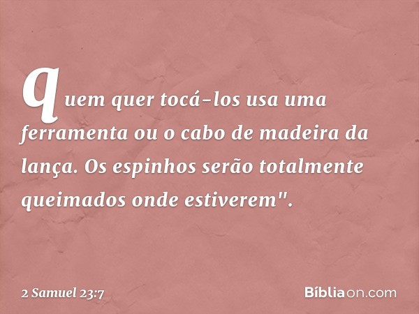 quem quer tocá-los usa uma ferramenta
ou o cabo de madeira da lança.
Os espinhos serão totalmente queimados
onde estiverem". -- 2 Samuel 23:7