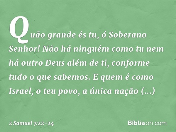 "Quão grande és tu, ó Soberano Senhor! Não há ninguém como tu nem há outro Deus além de ti, conforme tudo o que sabemos. E quem é como Israel, o teu povo, a úni