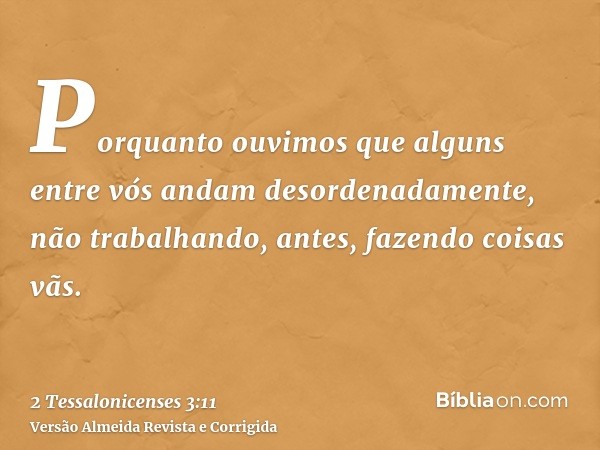 Porquanto ouvimos que alguns entre vós andam desordenadamente, não trabalhando, antes, fazendo coisas vãs.