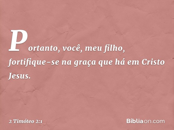 Portanto, você, meu filho, fortifique-se na graça que há em Cristo Jesus. -- 2 Timóteo 2:1