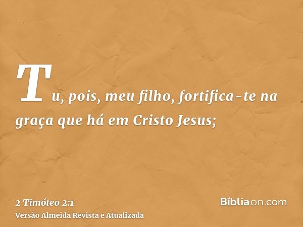 Tu, pois, meu filho, fortifica-te na graça que há em Cristo Jesus;