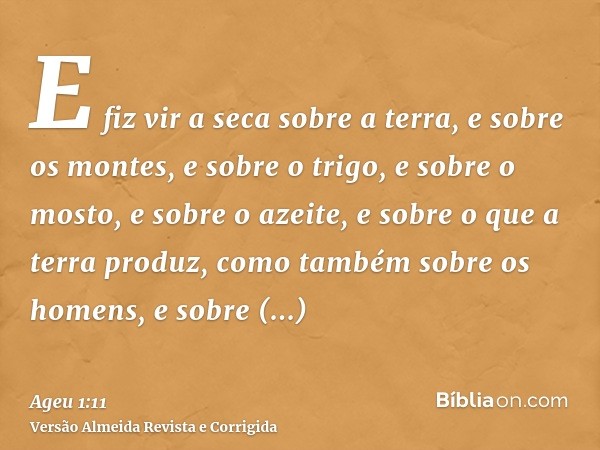 E fiz vir a seca sobre a terra, e sobre os montes, e sobre o trigo, e sobre o mosto, e sobre o azeite, e sobre o que a terra produz, como também sobre os homens