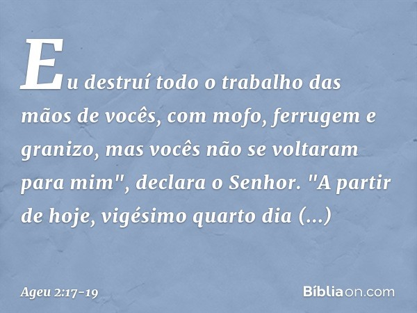 Eu destruí todo o trabalho das mãos de vocês, com mofo, ferrugem e granizo, mas vocês não se voltaram para mim", declara o Senhor. "A partir de hoje, vigésimo q