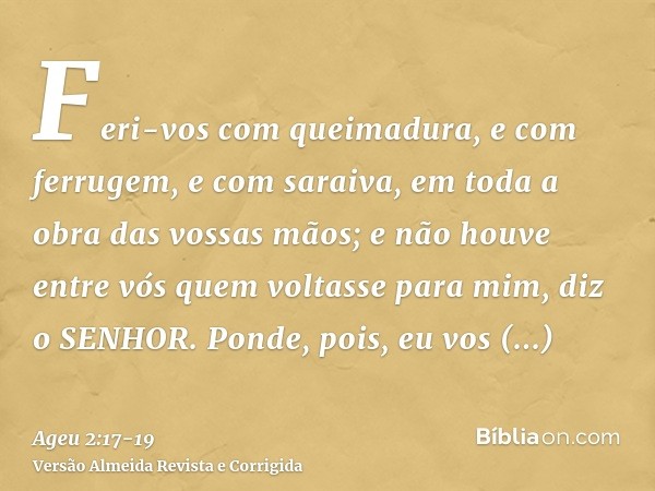 Feri-vos com queimadura, e com ferrugem, e com saraiva, em toda a obra das vossas mãos; e não houve entre vós quem voltasse para mim, diz o SENHOR.Ponde, pois, 