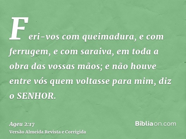 Feri-vos com queimadura, e com ferrugem, e com saraiva, em toda a obra das vossas mãos; e não houve entre vós quem voltasse para mim, diz o SENHOR.