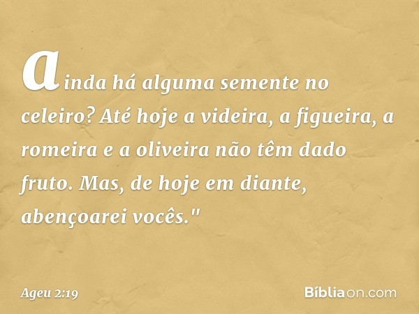 ainda há alguma semente no celeiro? Até hoje a videira, a figueira, a romeira e a oliveira não têm dado fruto. Mas, de hoje em diante, abençoarei vo­cês." -- Ag