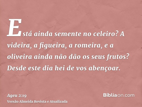 Está ainda semente no celeiro? A videira, a figueira, a romeira, e a oliveira ainda não dão os seus frutos? Desde este dia hei de vos abençoar.