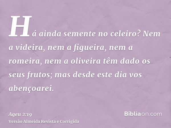 Há ainda semente no celeiro? Nem a videira, nem a figueira, nem a romeira, nem a oliveira têm dado os seus frutos; mas desde este dia vos abençoarei.