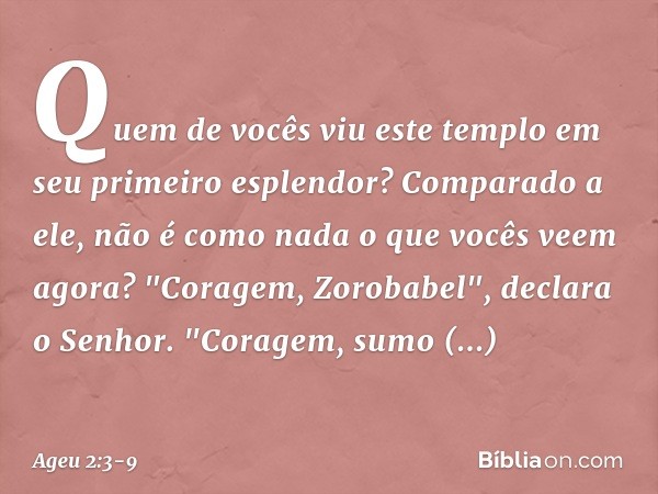 Quem de vocês viu este templo em seu primeiro esplendor? Comparado a ele, não é como nada o que vocês veem agora? "Coragem, Zorobabel", declara o Senhor. "Corag