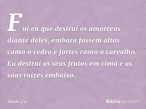 "Fui eu que destruí os amorreus
diante deles,
embora fossem altos como o cedro
e fortes como o carvalho.
Eu destruí os seus frutos em cima
e as suas raízes emba