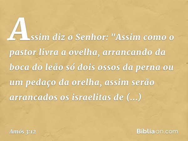 Assim diz o Senhor:
"Assim como o pastor livra a ovelha,
arrancando da boca do leão
só dois ossos da perna
ou um pedaço da orelha,
assim serão arrancados
os isr