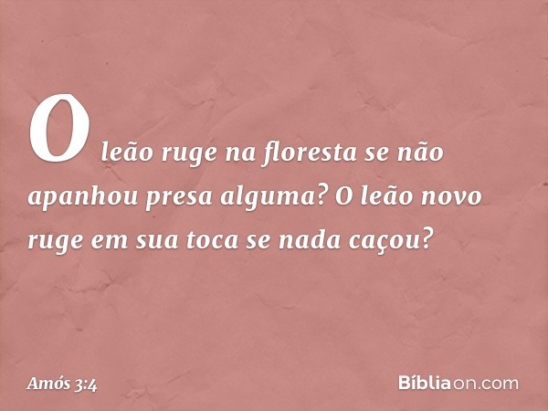 O leão ruge na floresta
se não apanhou presa alguma?
O leão novo ruge em sua toca
se nada caçou? -- Amós 3:4