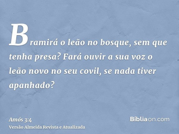 Bramirá o leão no bosque, sem que tenha presa? Fará ouvir a sua voz o leão novo no seu covil, se nada tiver apanhado?