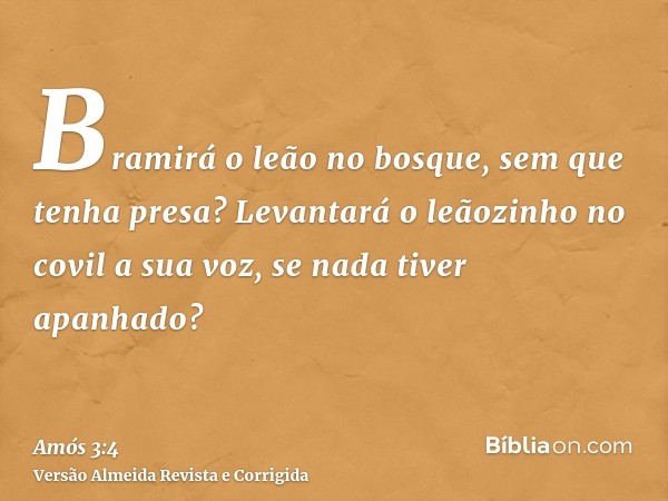 Bramirá o leão no bosque, sem que tenha presa? Levantará o leãozinho no covil a sua voz, se nada tiver apanhado?