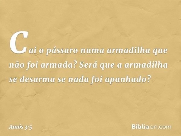 Cai o pássaro numa armadilha
que não foi armada?
Será que a armadilha se desarma
se nada foi apanhado? -- Amós 3:5