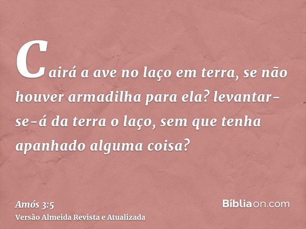 Cairá a ave no laço em terra, se não houver armadilha para ela? levantar-se-á da terra o laço, sem que tenha apanhado alguma coisa?