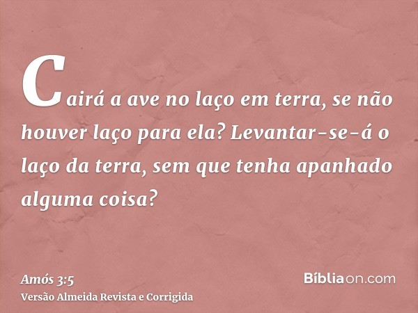 Cairá a ave no laço em terra, se não houver laço para ela? Levantar-se-á o laço da terra, sem que tenha apanhado alguma coisa?